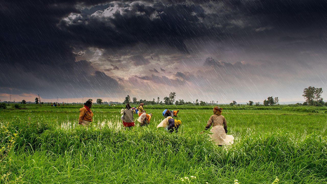 Bangladesh should take ‘total weather insurance’
